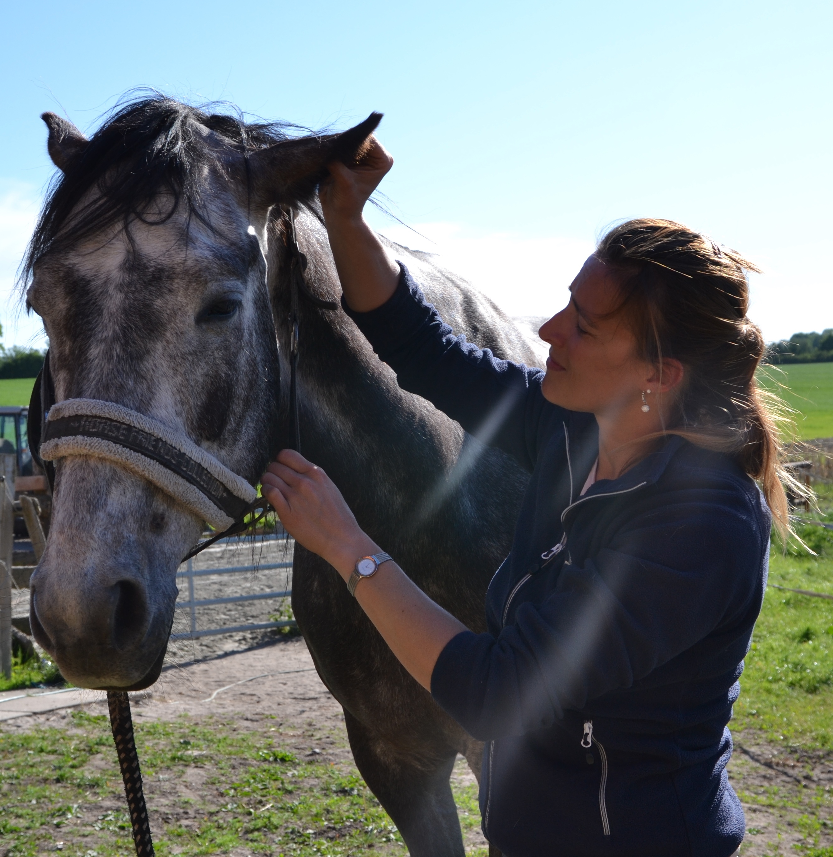 Miriam Ritter Physiotherapeut, Osteopath und Chiropraktiker für Pferde | Wer ...