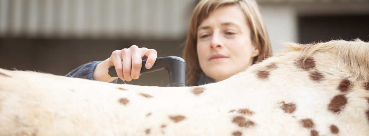 equisio faq