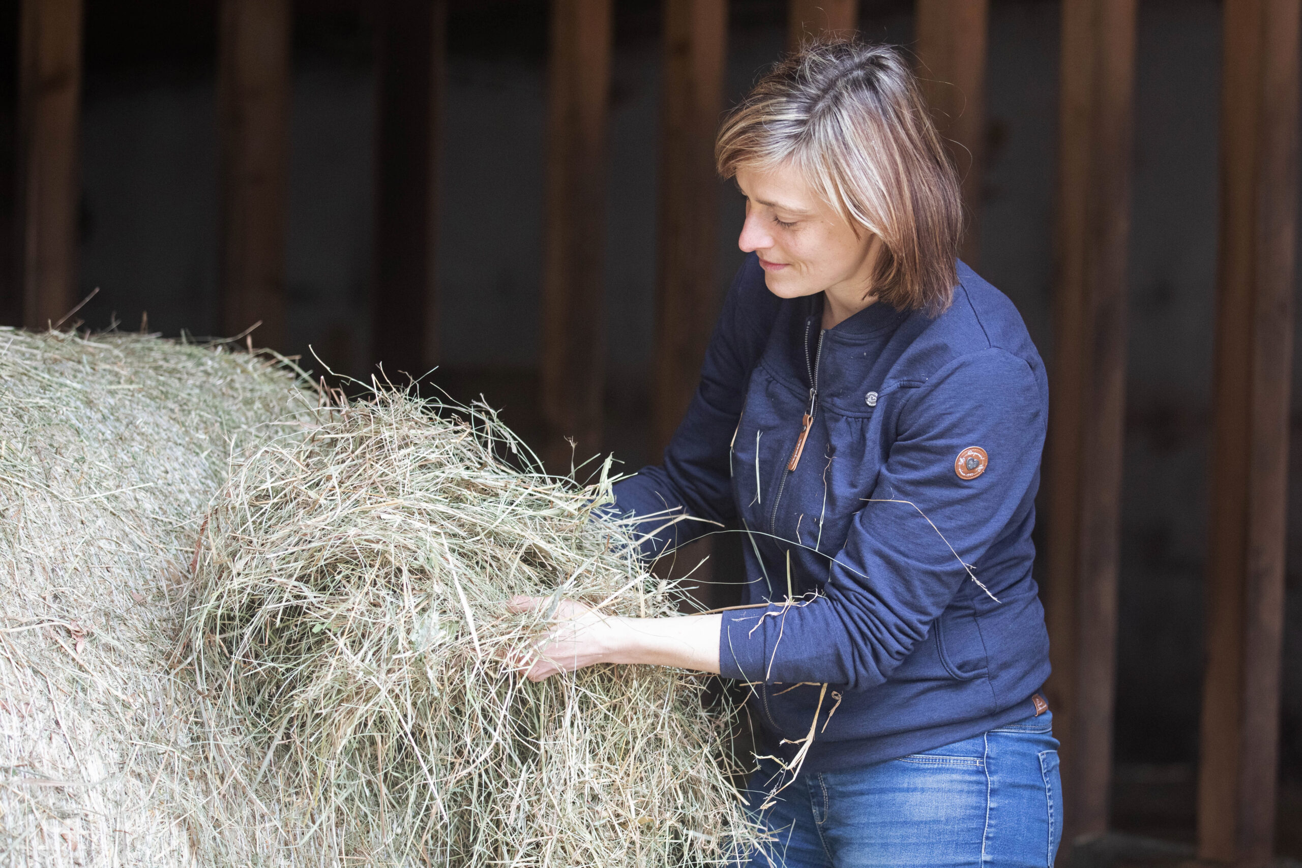 Ablauf einer Fütterungsberatung - EQUISIO Pferdetherapie