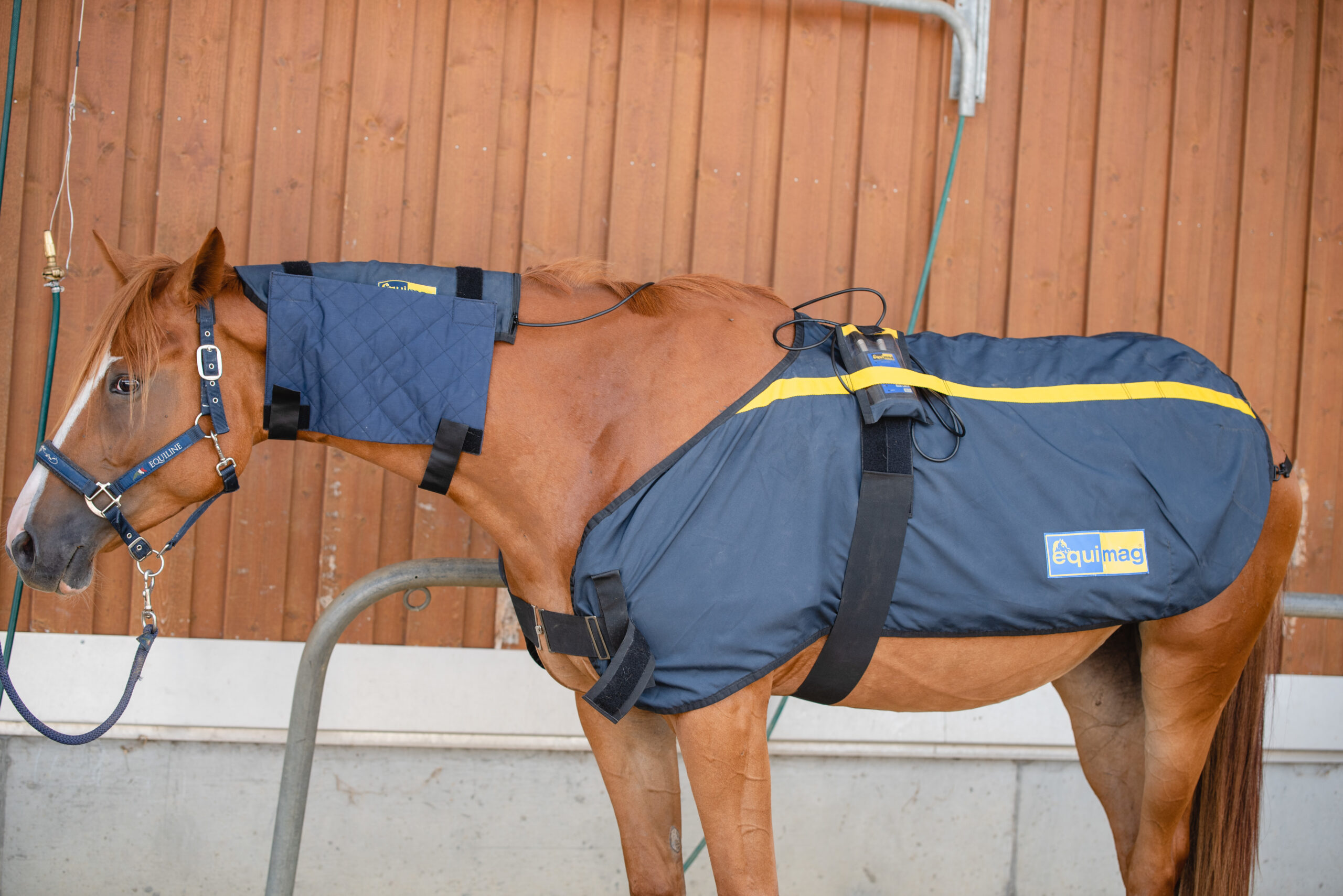 magnetfeld equimag